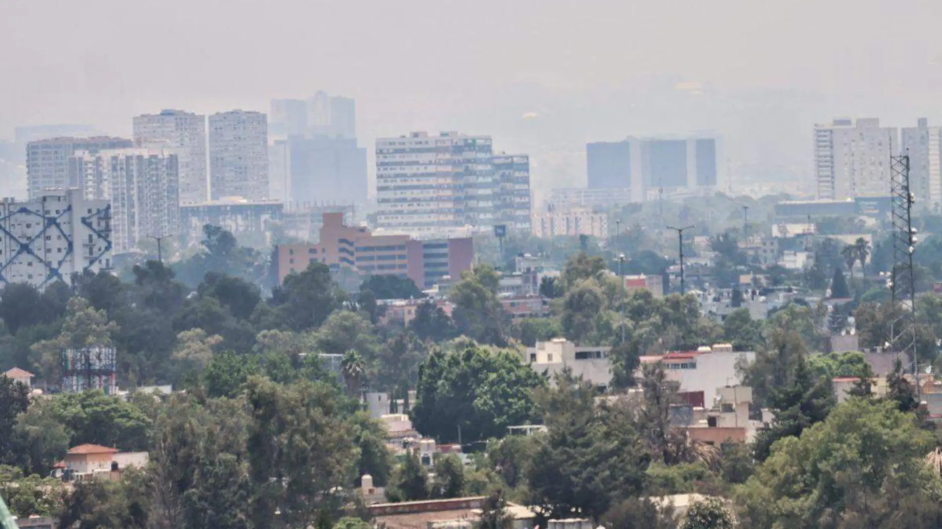 Doble Hoy no Circula-Contingencia